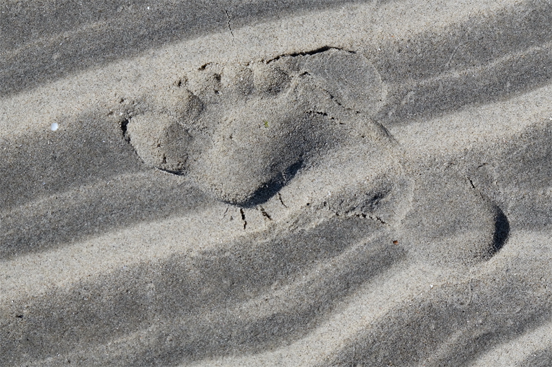 Holland 6 - 2013 _SAM_2506 als Smart-Objekt-1 Kopie.jpg - In den letzten Tagen sind wir viel am Strand und vin der Umgebung unterwegs gewesen